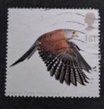 Engeland 268 valk, Ophalen of Verzenden