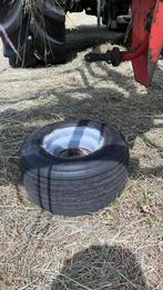 Gezocht kuhn schudder, Dieren en Toebehoren