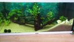Juwel 180, Ophalen, Gebruikt, Leeg aquarium