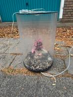 Biorb aquarium, Dieren en Toebehoren, Ophalen of Verzenden, Zo goed als nieuw, Leeg aquarium