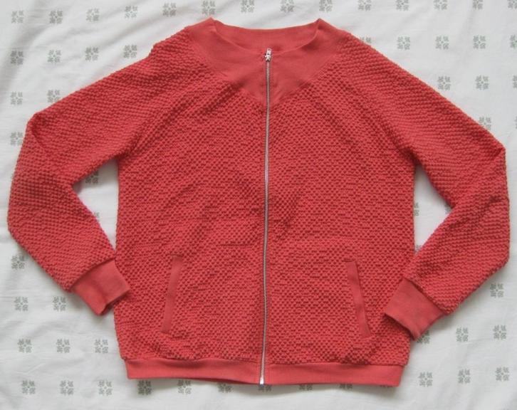 Humanoid koraal kleurig vest, maat L, maat 40, Kleding | Dames, Truien en Vesten, Zo goed als nieuw, Maat 38/40 (M), Overige kleuren