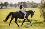 Super luxe barebackpad van FRA, Dieren en Toebehoren, Paarden en Pony's | Dekens en Dekjes, Ophalen