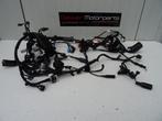 Kabelboom / Wire Harness Honda CBR1000RR-R SP Fireblade 2024, -, -, Nieuw, Ophalen of Verzenden