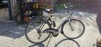 Herenfiets KOGA MIYATA  Grijs,  goed onderhouden, 56 cm of meer, Ophalen, Gebruikt, Handrem