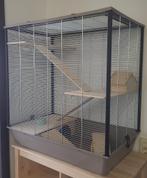Rattenkooi, hamsterkooi, knaagdieren kooi met toebehoren, Dieren en Toebehoren, Ophalen, Kooi, 60 tot 90 cm, Nieuw