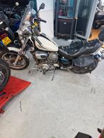 Virago 1100, Motoren, Particulier
