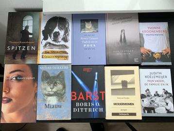10 korte literatuur boeken Nederlandse literatuur schrijvers beschikbaar voor biedingen