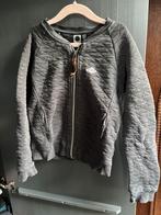 Grijs vest van Tumble ‘n Dry, Tumble 'n Dry, Gebruikt, Meisje, Trui of Vest
