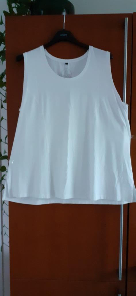 Top wit maat 48 -50 van No-Secret, Kleding | Dames, Grote Maten, Zo goed als nieuw, Shirt of Top, Wit, Ophalen of Verzenden