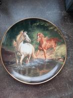 Franklin mint paarden free as the wind, Ophalen of Verzenden