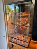 Terrarium met slang, Dieren en Toebehoren, Reptielen en Amfibieën | Toebehoren, Ophalen of Verzenden, Zo goed als nieuw, Terrarium of Paludarium