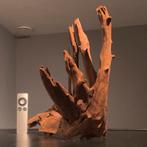 Mooi stuk Kienhout / Driftwood / Spiderwood, Hout Decoratie, Dieren en Toebehoren, Ophalen of Verzenden, Zo goed als nieuw, Plant(en), Steen of Hout