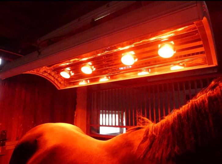 Solarium, Paardensolarium met ketting en ventilator, Dieren en Toebehoren, Paarden en Pony's | Verzorgingsproducten, Ophalen of Verzenden