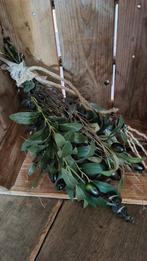 Olijf toefje van zijde, Ophalen of Verzenden