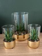 Kunstplantjes, Huis en Inrichting, Kamerplanten, Ophalen, Halfschaduw, Minder dan 100 cm