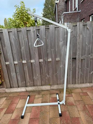 Bedpapagaai beschikbaar voor biedingen