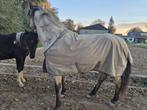 Bucas deken Turnout Light big neck 145/195 waterdichte deken, Dieren en Toebehoren, Paarden en Pony's | Dekens en Dekjes, Ophalen of Verzenden
