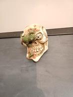 Schedel spaarpot ( zeer apart!!!), Ophalen of Verzenden, Zo goed als nieuw, Kunststof