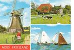 Ansichtkaart 	Friesland	3-luik	Molen	Zeilen, Verzamelen, Ansichtkaarten | Nederland, Verzenden, 1980 tot heden, Gelopen, Friesland