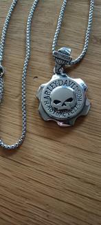 Harley Davidson Skull hanger RVS plus ketting, Sieraden, Tassen en Uiterlijk, Nieuw, Overige materialen, Zilver, Overige voorstellingen