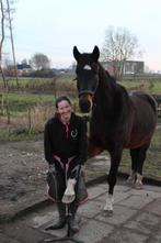 Bekapper aangeboden, Diensten en Vakmensen, Dieren | Paarden | Verzorging, Oppas en Les, Verzorging of Verzorgpony's