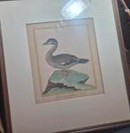 Rijk gekleurde 18e-eeuwse kopergravure, Antiek en Kunst, Ophalen of Verzenden