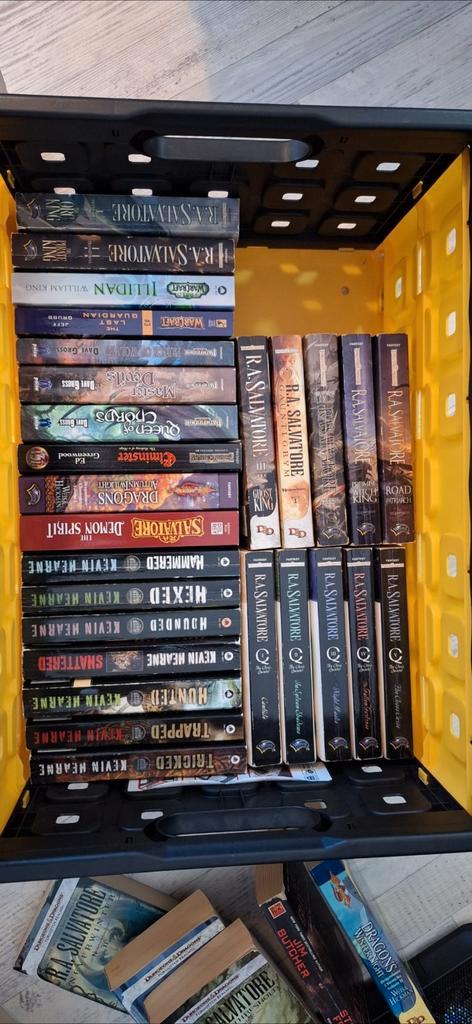Heel veel engelstalige fantasy boeken. €4.50 Per stuk, Boeken, Fantasy, Zo goed als nieuw, Ophalen of Verzenden