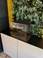 Fluval aquarium flex 57L, Ophalen, Leeg aquarium