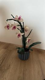 Lego orchidee, Ophalen of Verzenden, Zo goed als nieuw