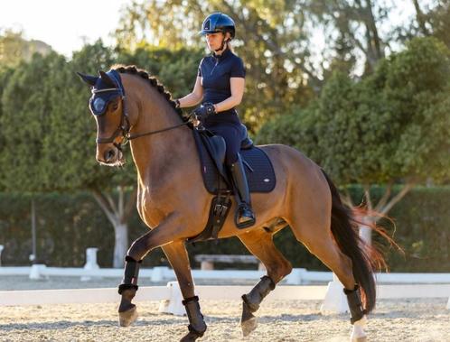 LeMieux Self-Cool Mesh dressuur dekje Navy GRATIS VERZENDING, Dieren en Toebehoren, Paarden en Pony's | Dekens en Dekjes, Nieuw