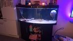Juwel vision 450 compleet, Dieren en Toebehoren, Vissen | Aquaria en Toebehoren, Ophalen, Zo goed als nieuw, Leeg aquarium