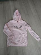 Drinkerbel trui, Ophalen of Verzenden, Nieuw