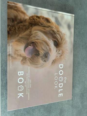 The doodle look boek beschikbaar voor biedingen