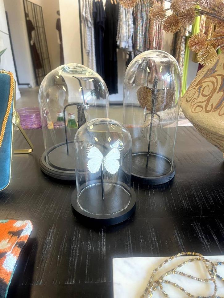 Vliegende hagedis in stolp, Huis en Inrichting, Woonaccessoires | Overige, Ophalen of Verzenden