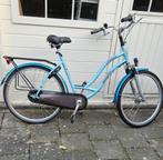 SPARTA AMAZONE, 26 inch fiets voor volwassenen, brede banden, Ophalen, Sparta, Versnellingen, 53 tot 56 cm