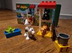 Duplo Boerderij Dieren 10870 - Compleet met Doos!, Kinderen en Baby's, Speelgoed | Duplo en Lego, Ophalen of Verzenden, Zo goed als nieuw