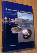 De Bruyne/De Boer. Schelpen van de Waddeneilanden. Font.2008, Ophalen of Verzenden, Zo goed als nieuw, De Bruyne/De Boer, Overige onderwerpen