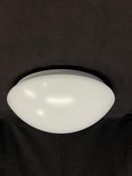 Steinel RS PRO LED P2 - plafondlamp met sensor, Ophalen of Verzenden, Nieuw