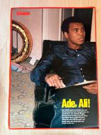 Poster van Muhammad Ali -Cassius Clay, Gebruikt, Ophalen of Verzenden, Poster, Plaatje of Sticker
