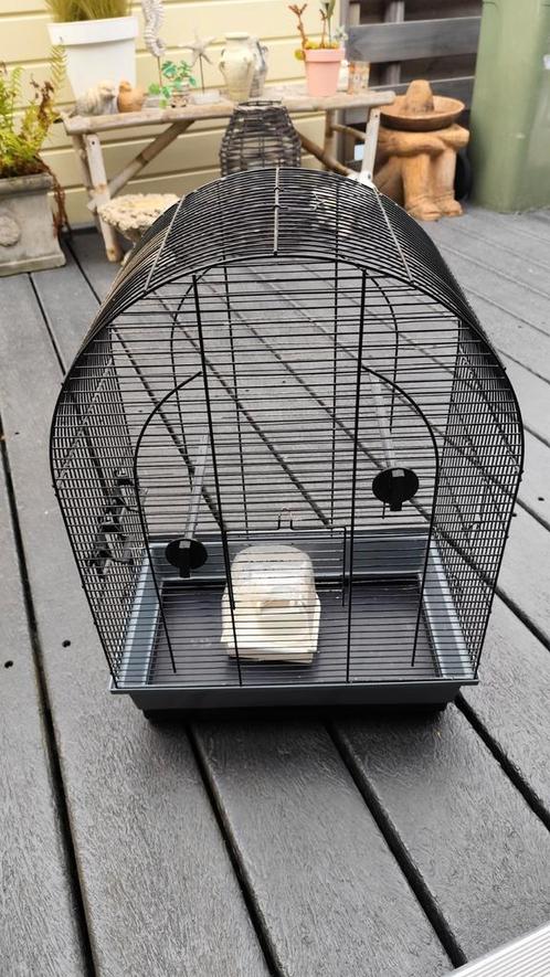 Leuke vogelkooi o.a. voor parkieten. Zwart, Dieren en Toebehoren, Vogels | Hokken en Kooien, Gebruikt, Vogelkooi, Metaal, Ophalen