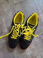 Zaal voetbalschoen maat 38, Maat XS of kleiner, Ophalen of Verzenden, Nieuw, Schoenen