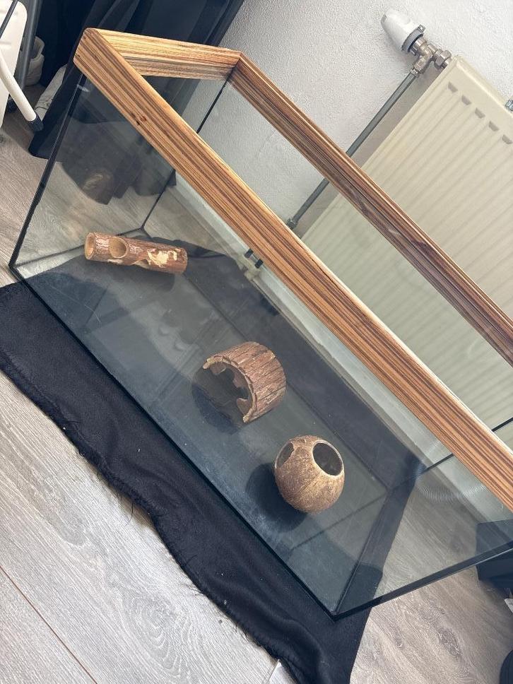 Terrarium knaagdier, Dieren en Toebehoren, Knaagdieren en Konijnen | Hokken en Kooien, Gebruikt, Hok, Minder dan 60 cm, 75 tot 110 cm