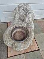 Stenen hond met waterbak, Ophalen, Zo goed als nieuw, Steen, Dierenbeeld