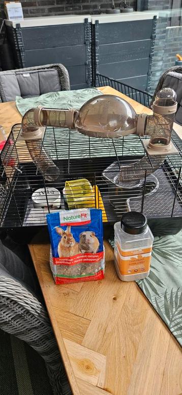 Hamster cavia hamster kooi  beschikbaar voor biedingen