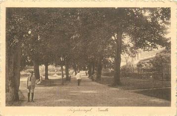 (387-036-007) Zwolle Tolgietersingel beschikbaar voor biedingen