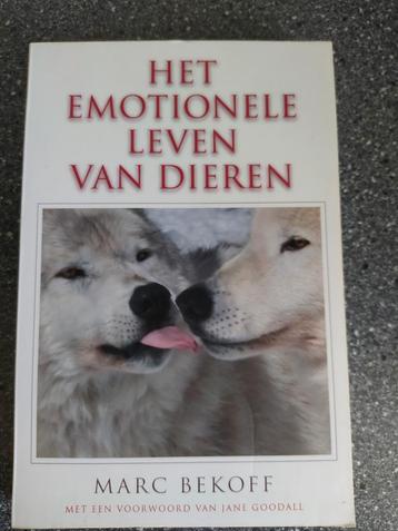 M. Bekoff - Het emotionele leven bij dieren beschikbaar voor biedingen