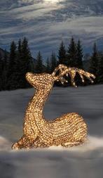 Exclusief Groot Liggend Led-Rendier In Glasoptiek. 400 Led's, Verzenden, Nieuw