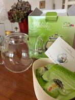 Glazen theepot Nieuw, Glas of Glazen, Nieuw, Ophalen of Verzenden, Glas