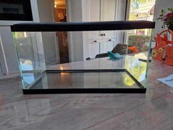 Aquarium beschikbaar voor biedingen