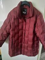 Donker rode dons jas maat 44 in zeer goede staat ., Kleding | Dames, Jassen | Winter, Maat 42/44 (L), Ophalen of Verzenden, Zo goed als nieuw